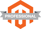 Magento Professional Partner