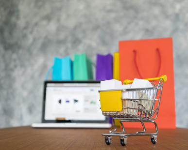 eCommerce Subscriptions trends and strategies for B2B and B2C companies to optimize growth