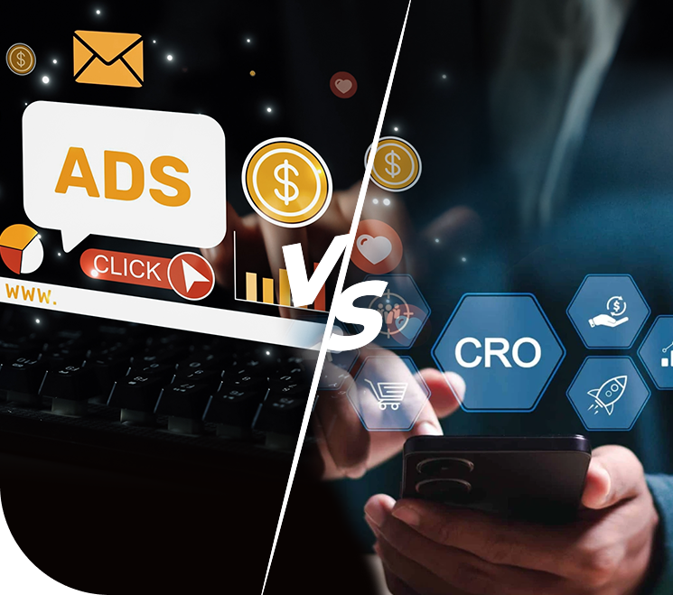 About Webinar